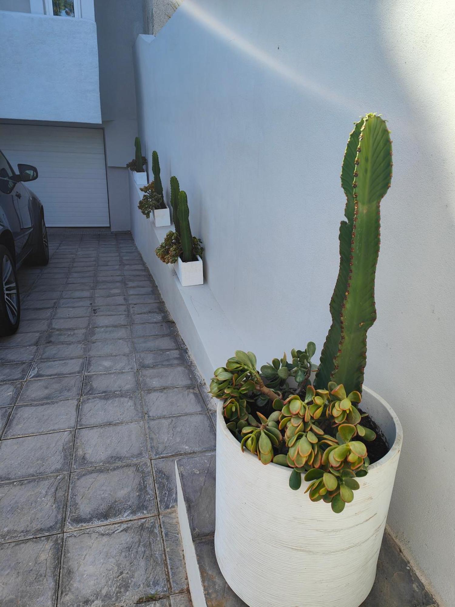 Casa 5 Habitaciones Con Solarium Santa Cruz de Tenerife Exterior foto